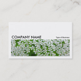 Long Picture 036 - Cow Parsley Business Card