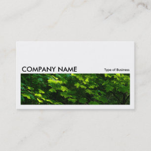 Long Picture 050 - Leaves in Spring Business Card