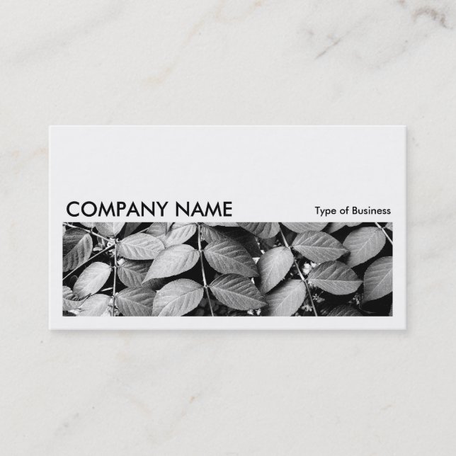 Long Picture 051 - Leaves Business Card (Front)