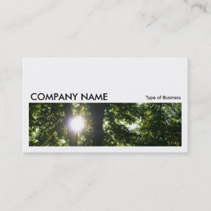 Long Picture 056 - Sun Through Trees Business Card