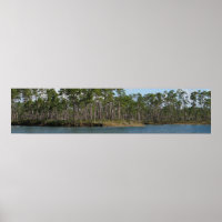 Long Pine Key