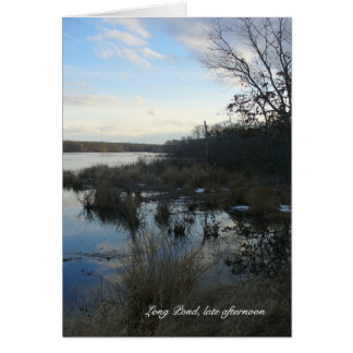 Long Pond late afternoon