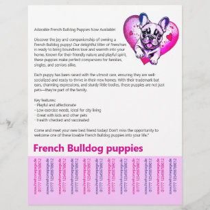 Long read French Bulldog Puppy Flyer