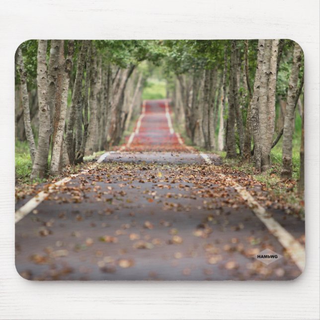 Long Road Mouse Pad HAMbWG (Front)