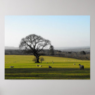 Long shadows in autumn poster