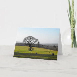 Long shadows in autumn Somerset Holiday Card