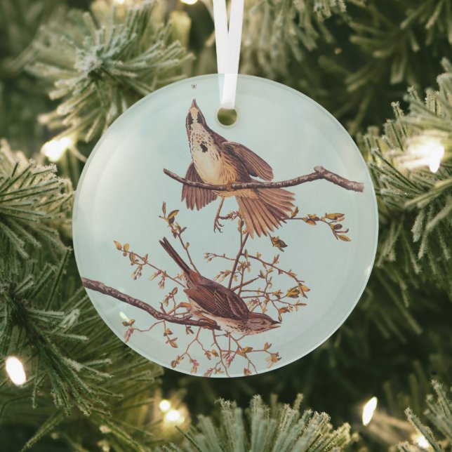 Long Sparrow Audubon Birds with Tiny Spider Glass Tree Decoration (Insitu)