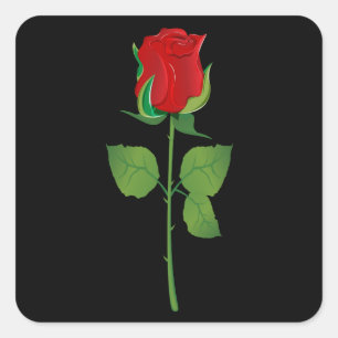Long Stem Red Rose Square Sticker