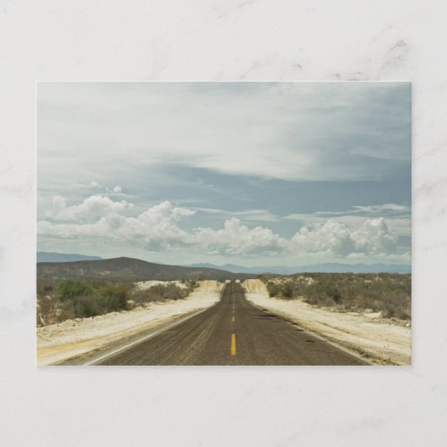 Long Straight Road Through Mexican Baja Landscape Postcard (Front)