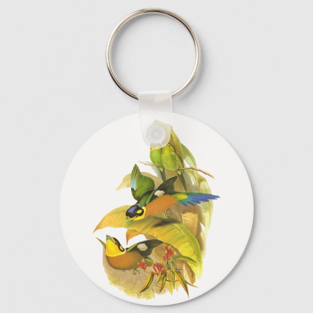 Long-tailed Broadbill Key Ring (Front)
