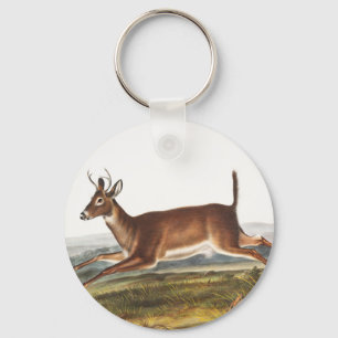 Long-tailed Deer (Cervus leucurus) Illustration Key Ring
