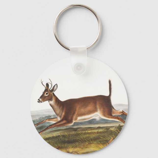 Long-tailed Deer (Cervus leucurus) Illustration Key Ring (Front)