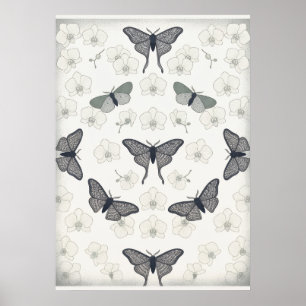 Long Tailed Moth Ivory Orchid Pattern Poster
