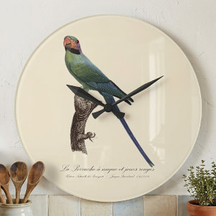 Long-Tailed Parakeet, Psittacula Longicauda Large Clock