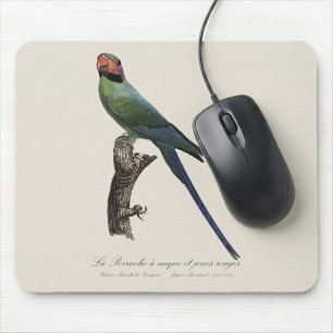 Long-Tailed Parakeet, Psittacula Longicauda Mouse Mat