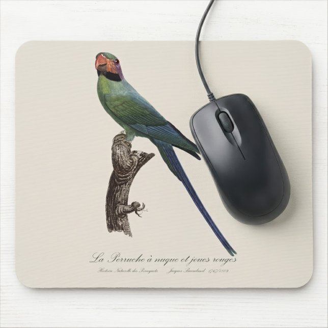 Long-Tailed Parakeet, Psittacula Longicauda Mouse Mat (Long-Tailed Parakeet, Psittacula Longicauda. Mouse Pad)
