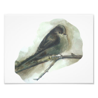 Long tailed tit garden bird watercolour print