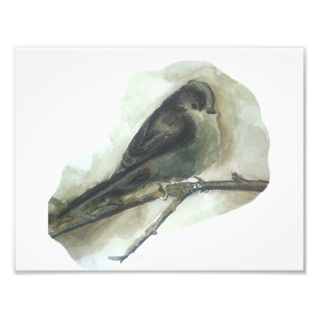 Long tailed tit garden bird watercolour print  (Front)