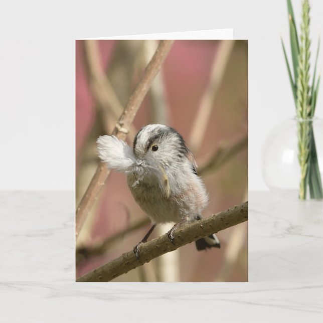 Long Tailed Tit with feather Card (Front)