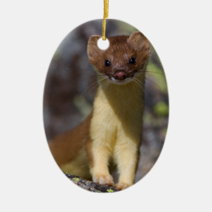 Long-tailed Weasel Ceramic Tree Decoration