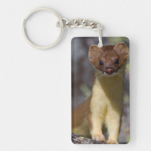 Long-tailed Weasel Key Ring
