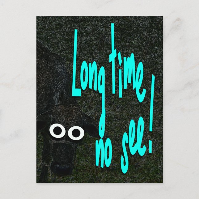 Long time no see. Cow. Animal Postcard (Front)
