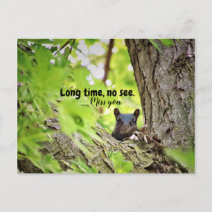 Long Time, No See Postcard