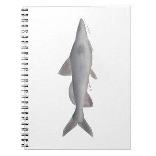 Long-whiskered Catfish Notebook