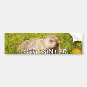 Long winter bumper sticker