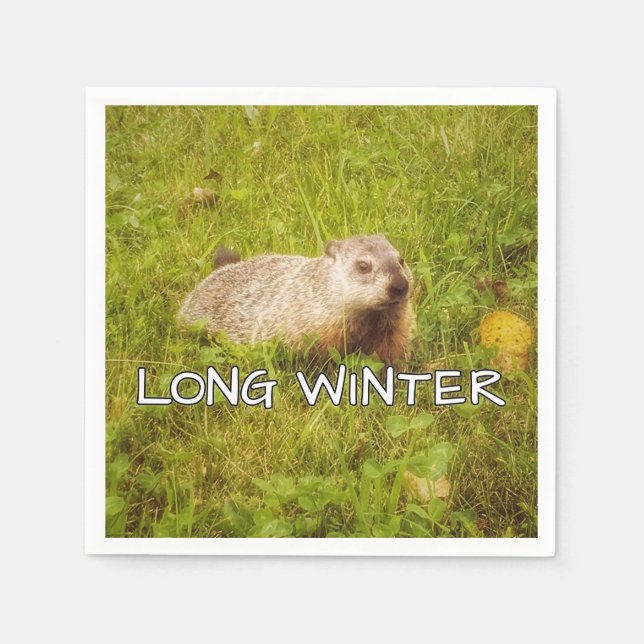 Long winter napkins (Front)