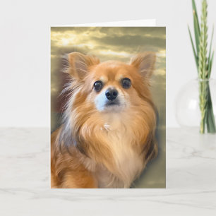 Longhair Chihuahua Card