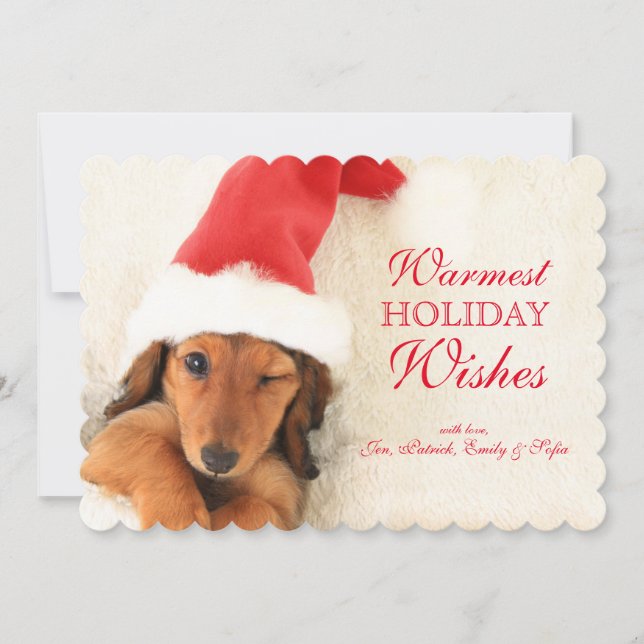 Longhair Dachshund Puppy Winking Holiday Card (Front)