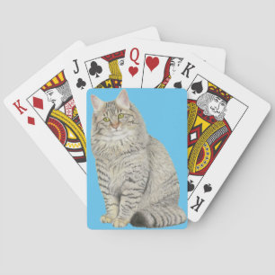 Longhair Tabby Cat Bicycle Playing Cards