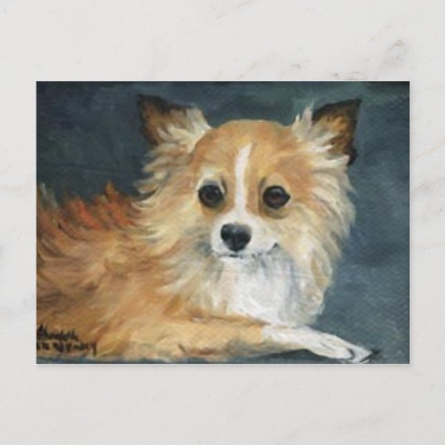 "Longhaired Chihuahua" Dog Art Postcard (Front)