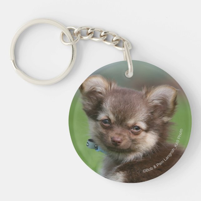 Longhaired Chihuahua Puppy Looking at Camera Key Ring (Front)