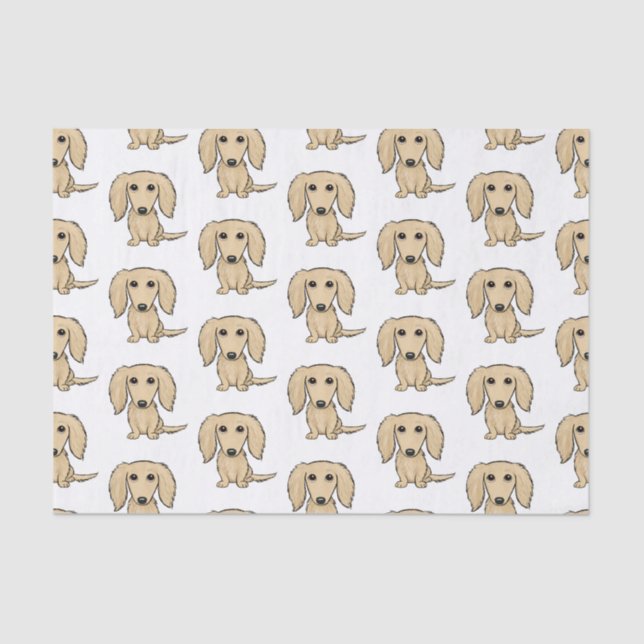 Longhaired Cream Dachshunds Pattern | Cute Dogs Tissue Paper (Front)