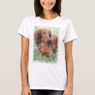 Longhaired Dachshund Ladies Fitted T-Shirt