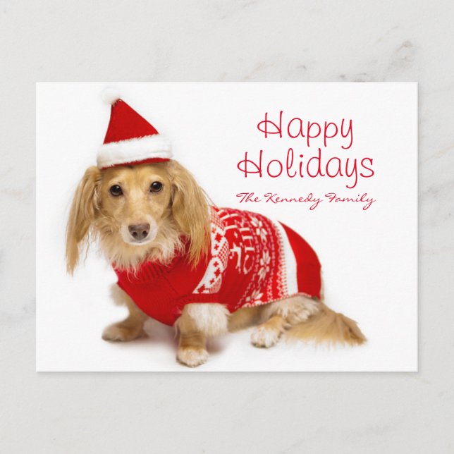 Longhaired dachshund wearing a red Christmas Holiday Postcard (Front)