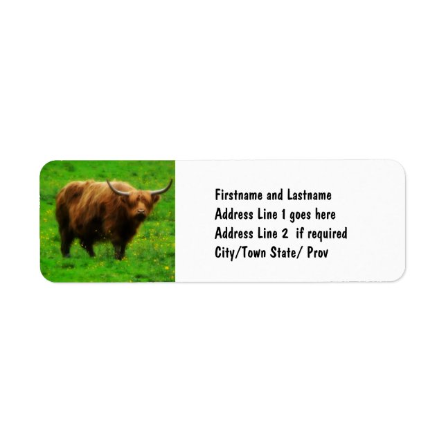 Longhaired LongHorn with Long Horns (Front)