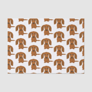 Longhaired Red Dachshund Pattern Wiener Dogs Tissue Paper