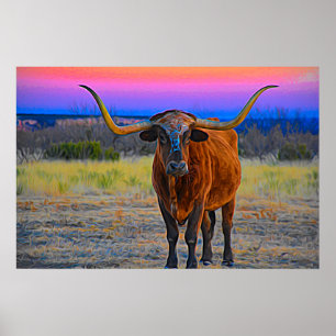 Longhorn at Sunset Poster