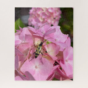 Longhorn beetle on pink Hydrangea Jigsaw Puzzle