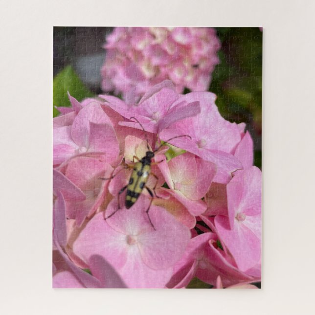 Longhorn beetle on pink Hydrangea Jigsaw Puzzle (Vertical)