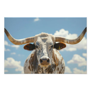 Longhorn Bull  Photo Print