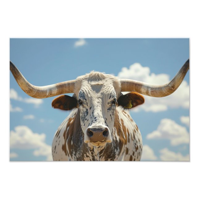 Longhorn Bull  Photo Print (Front)