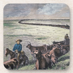 Longhorn cattle drive from Texas to Abilene, Kansa Coaster