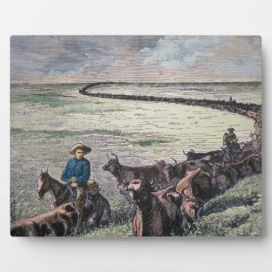 Longhorn cattle drive from Texas to Abilene, Kansa Plaque