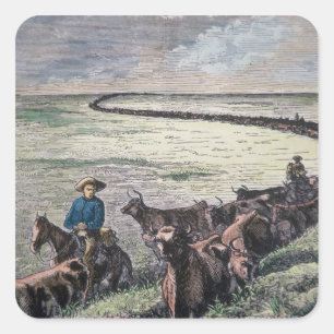 Longhorn cattle drive from Texas to Abilene, Kansa Square Sticker