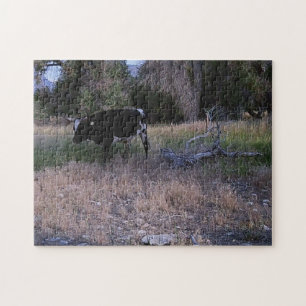 Longhorn Cow in the Pasture Jigsaw Puzzle