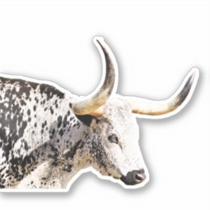 Longhorn Cow photo art Custom-Cut Vinyl Sticker